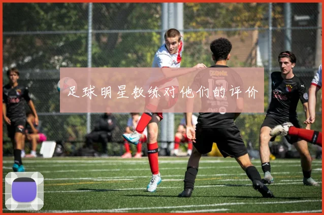 足球明星教练对他们的评价