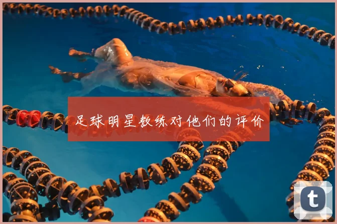 足球明星教练对他们的评价
