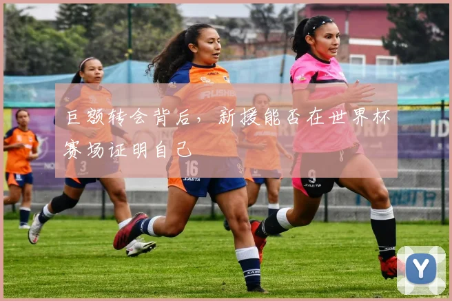 巨额转会背后，新援能否在世界杯赛场证明自己