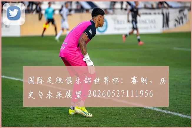 国际足联俱乐部世界杯：赛制、历史与未来展望_20260527111956